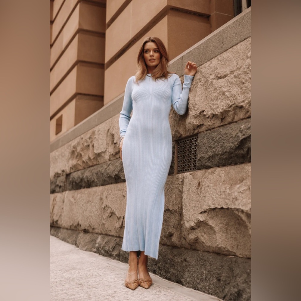 Petal and Pup Blue Body Con Long sleeve Midi Dress